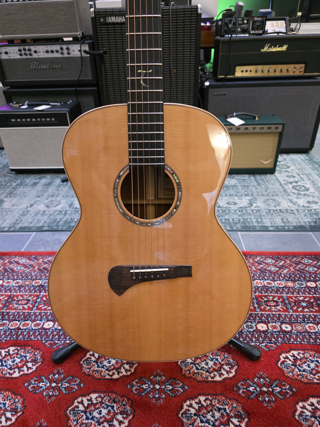 Tanglewood TSM-1