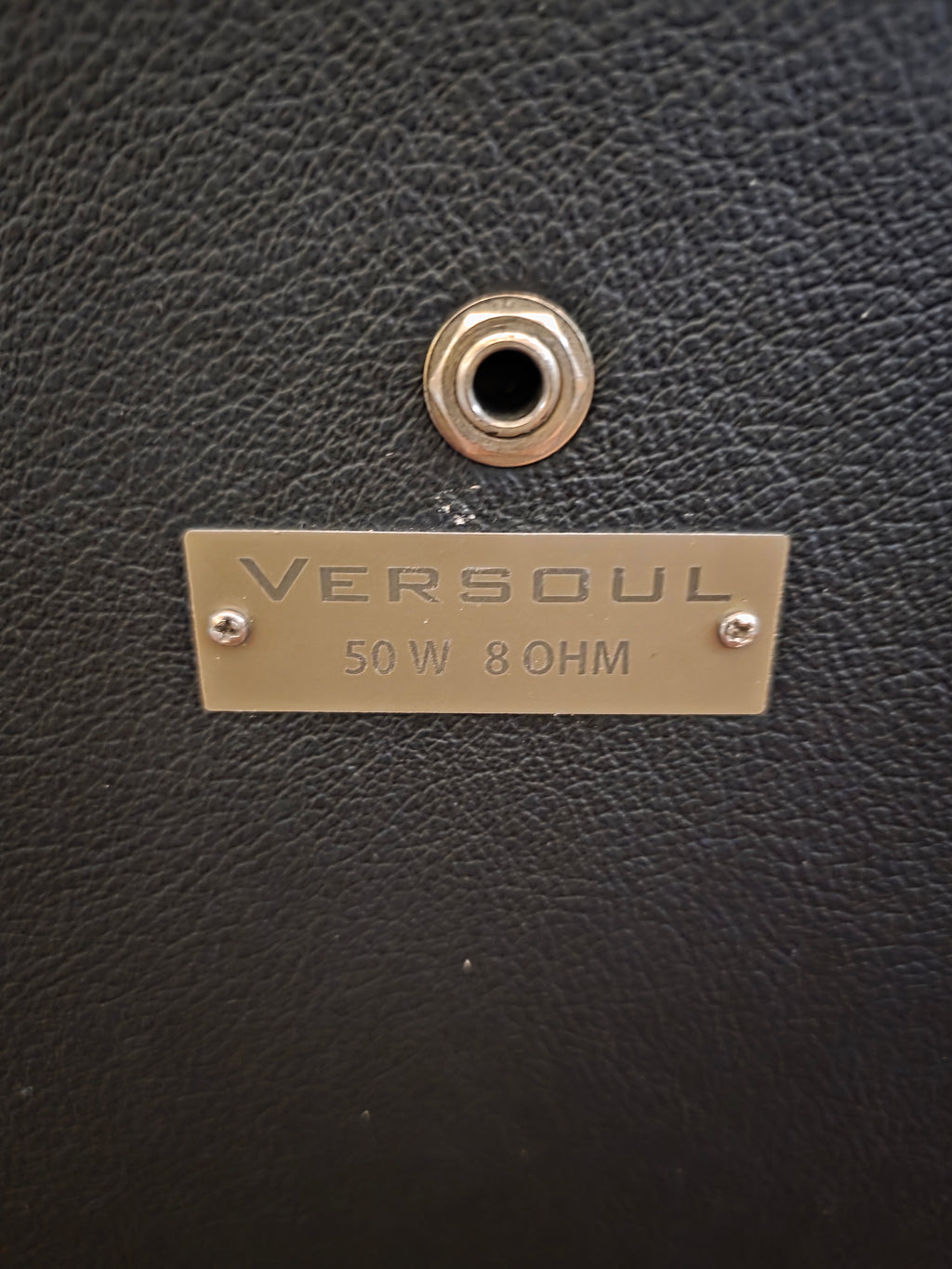 Versoul Amp & Cab #012 w/ flight cases