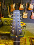 Ibanez AAD1012E-OPN