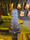 Ibanez AAD1012E-OPN