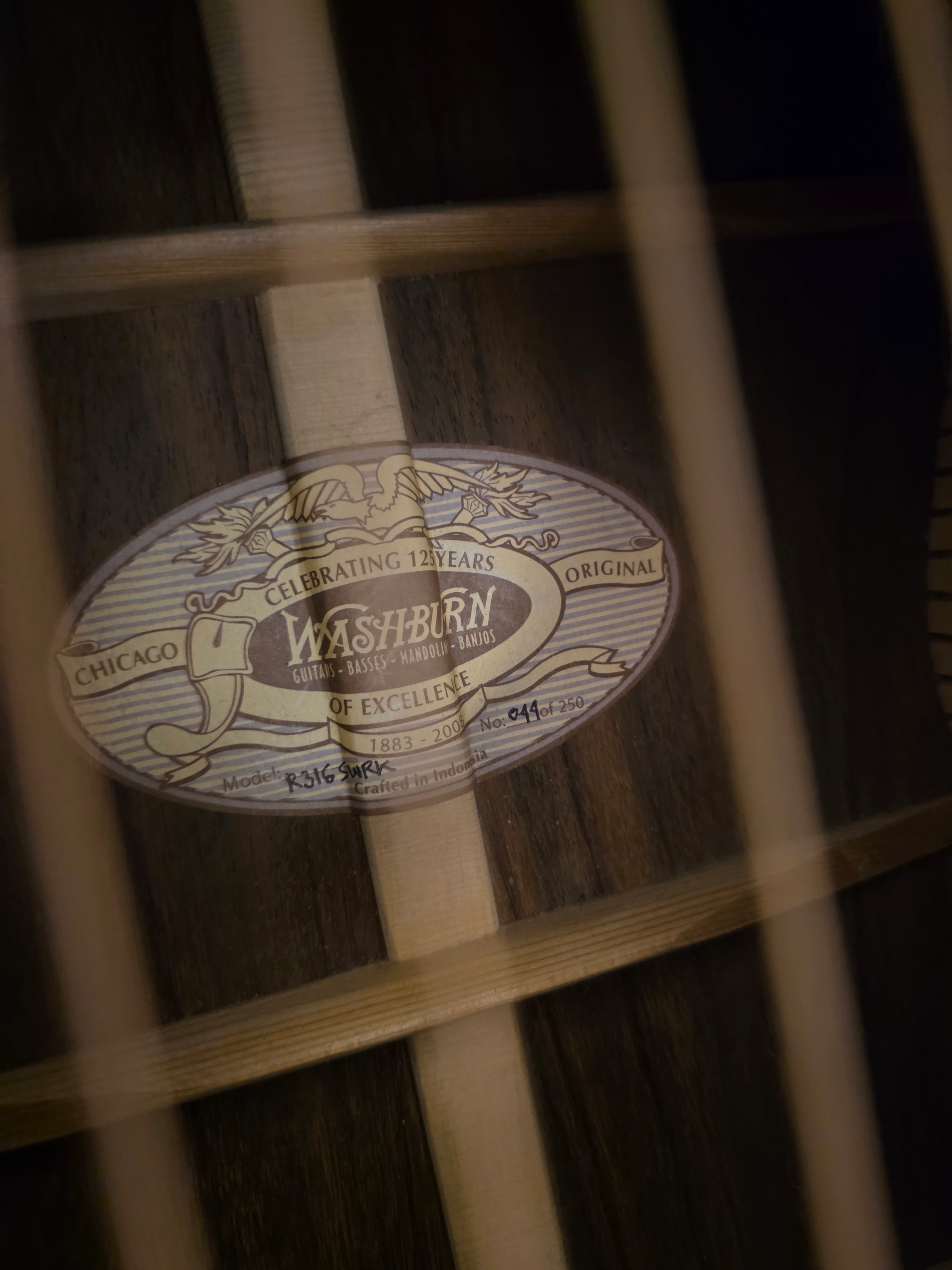 Washburn Limited Edition 125th Anniversary Acoustic R316SWRK