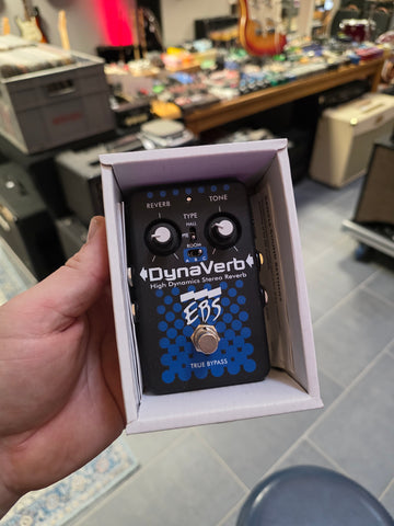 EBS DynaVerb