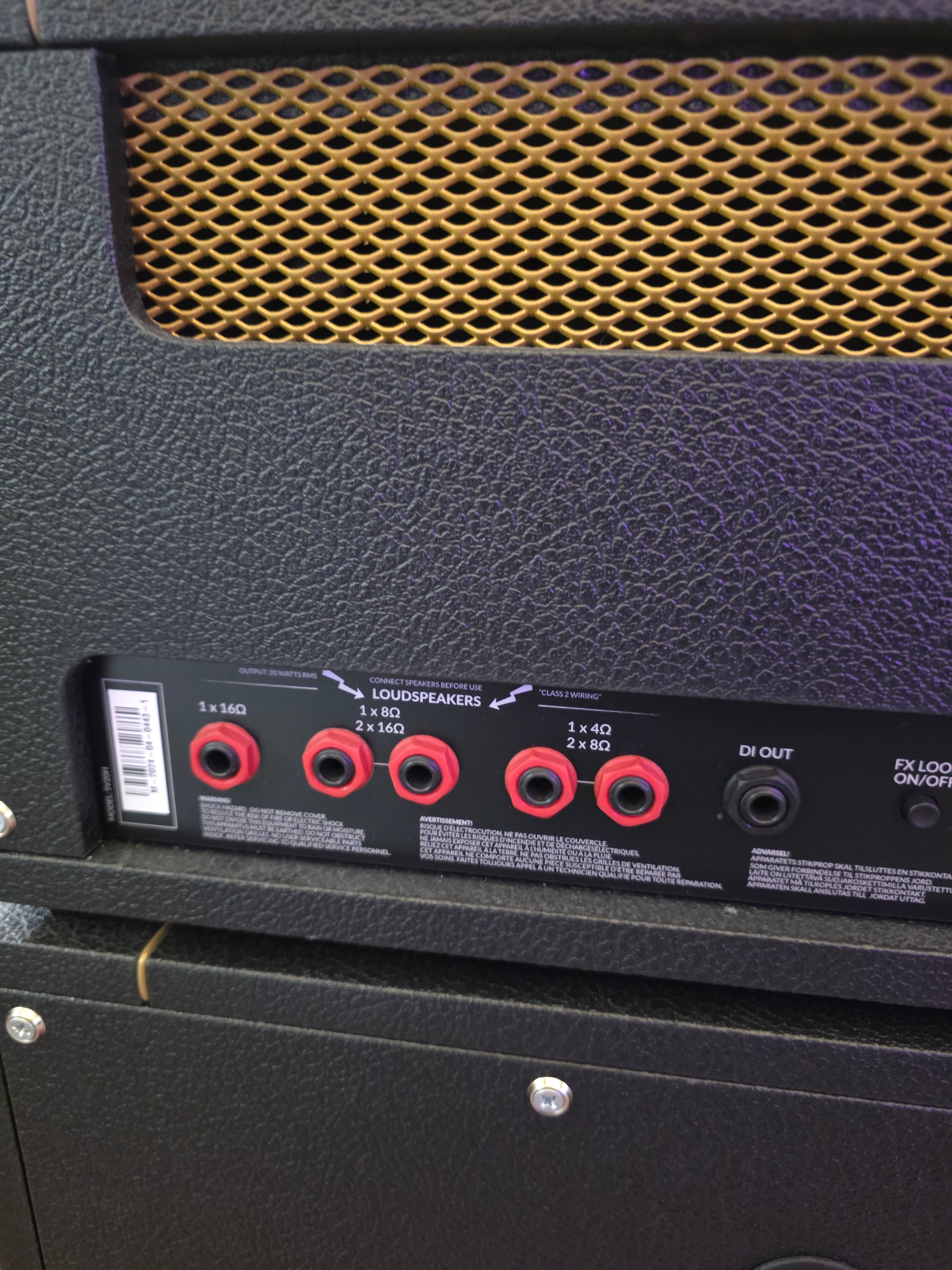 Marshall SV20H w/ SV112 Cabinet