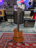 Godin Multiac Nylon Encore