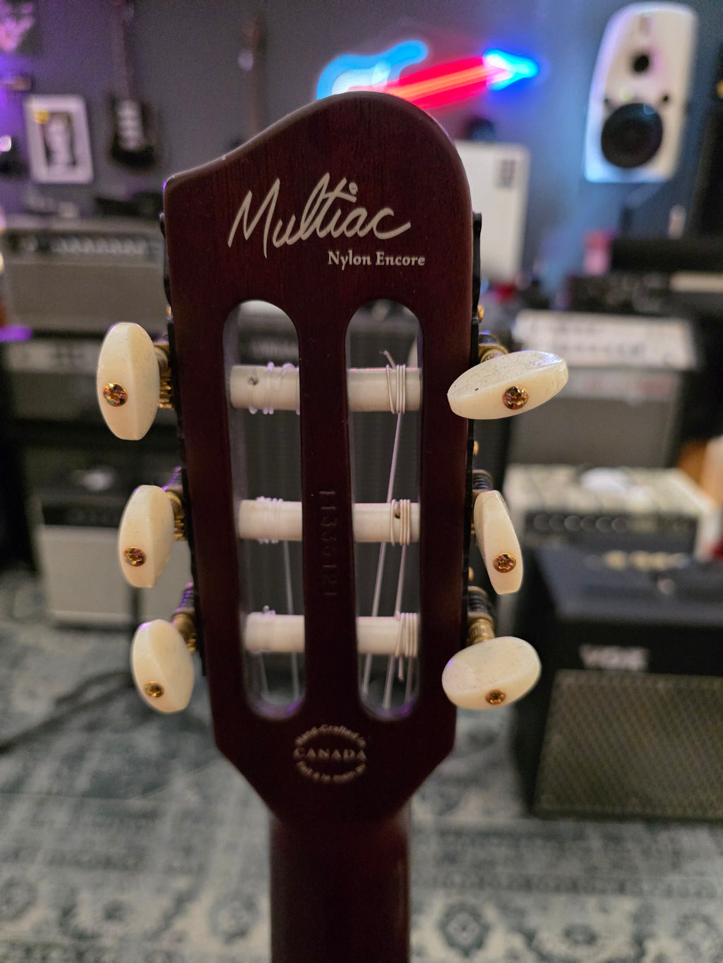 Godin Multiac Nylon Encore