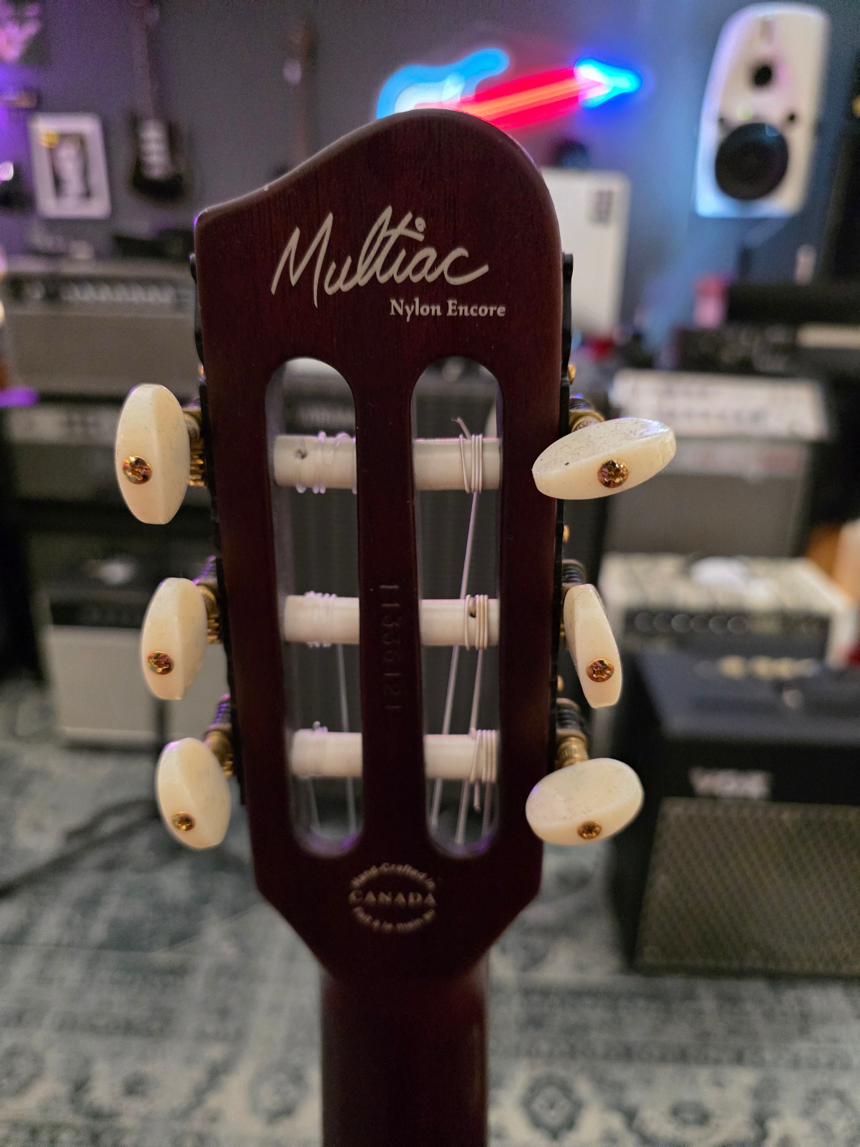Godin Multiac Nylon Encore