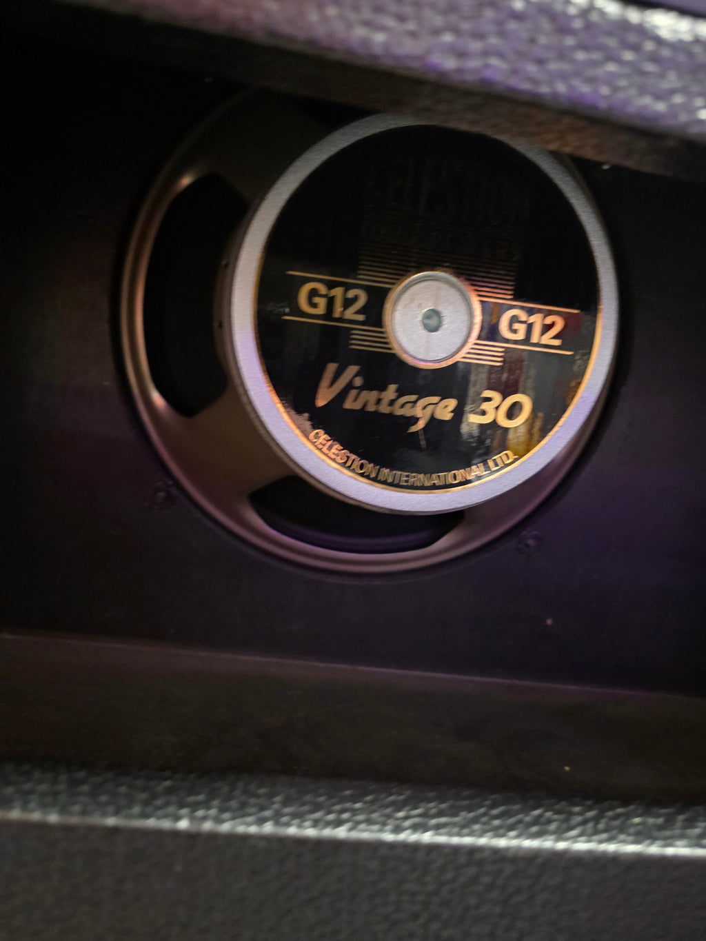 Palmer 1x12" w/Celestion Vintage 30
