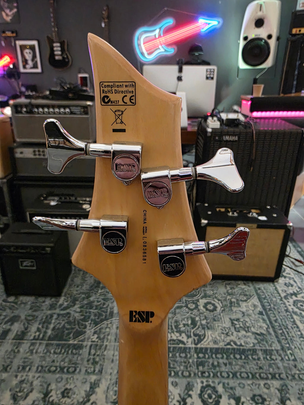 ESP LTD B-50