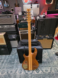 Mr. Bassman 8 String bass (Aria Pro II Mod)