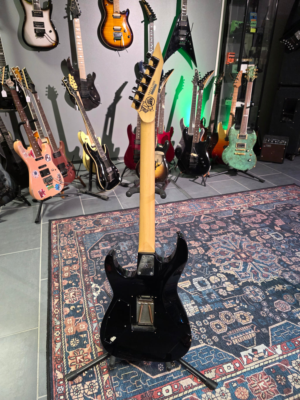 ESP M-II 2007