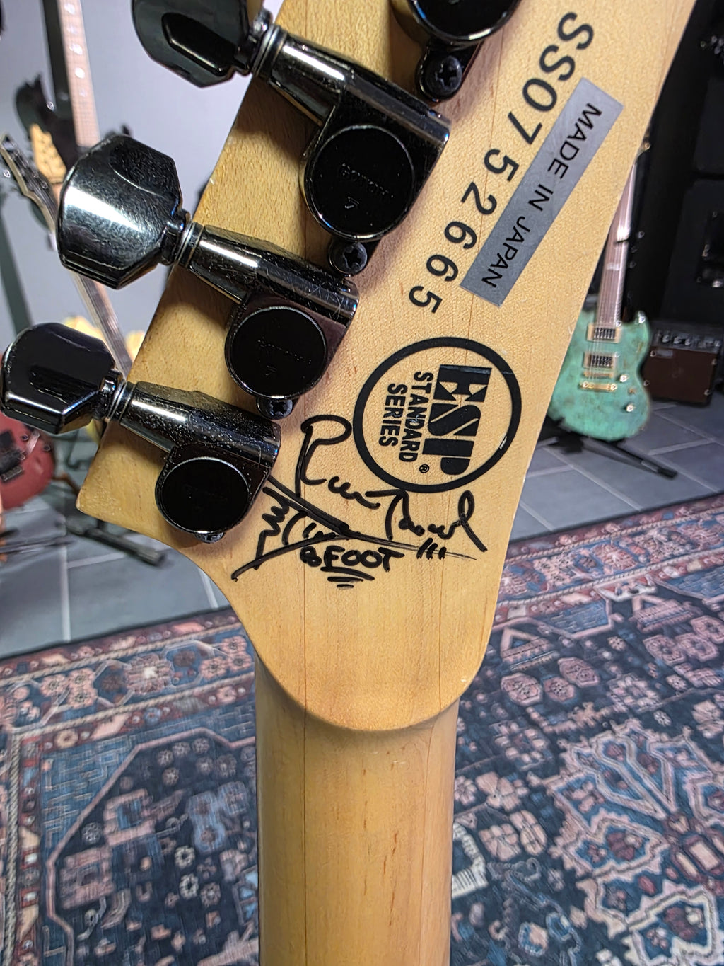 ESP M-II 2007