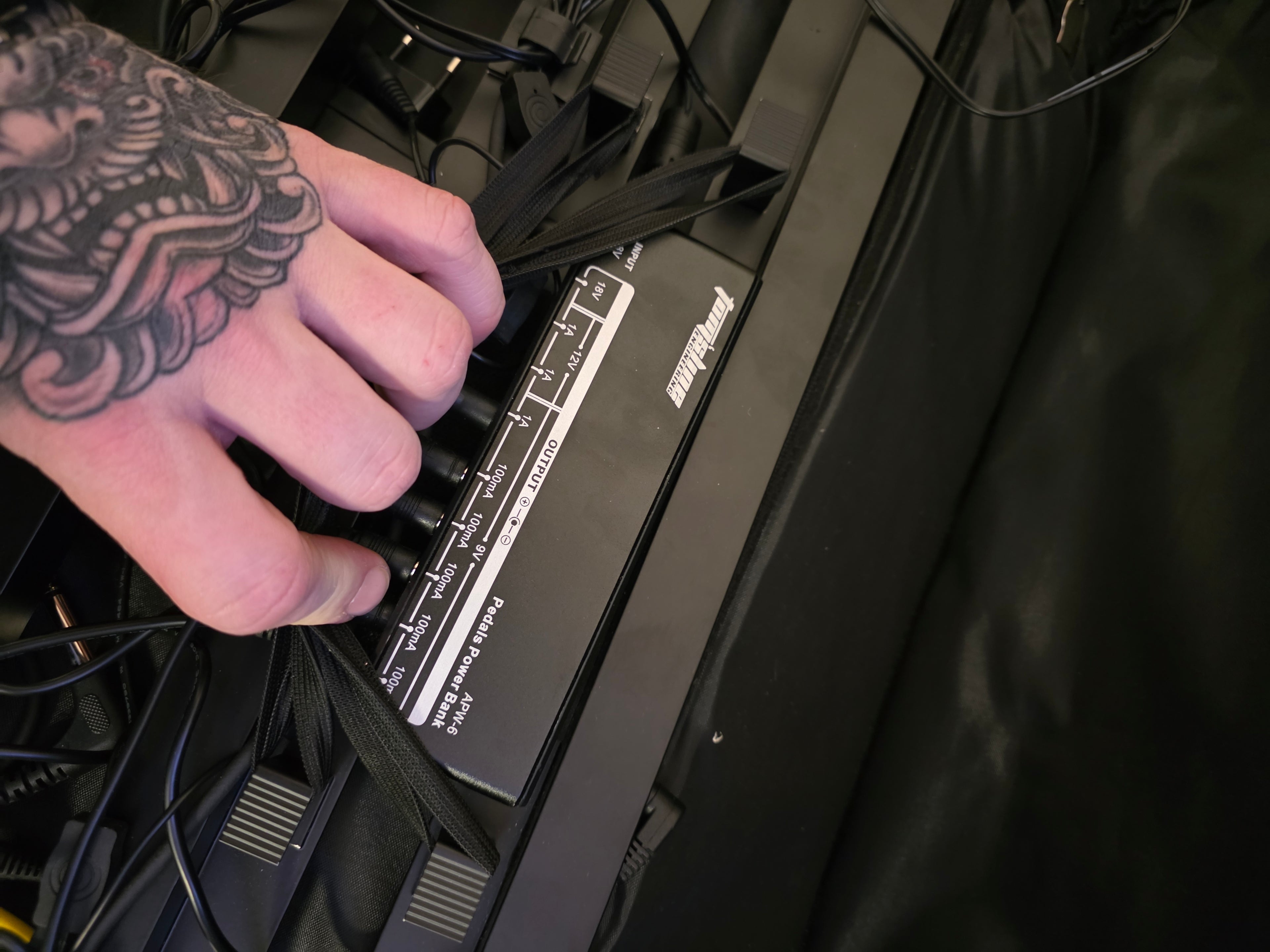 Palmer Pedalbay 60 w/ Tomsline Engineering power source