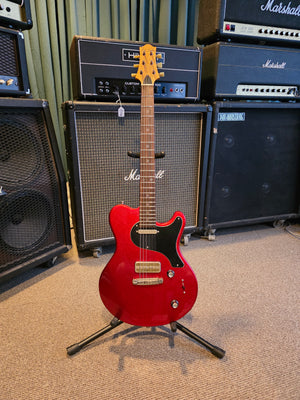 Descriptive image text