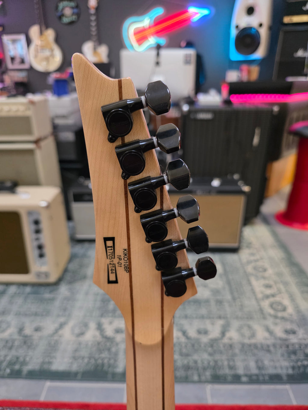 Ibanez Kiko 10BP