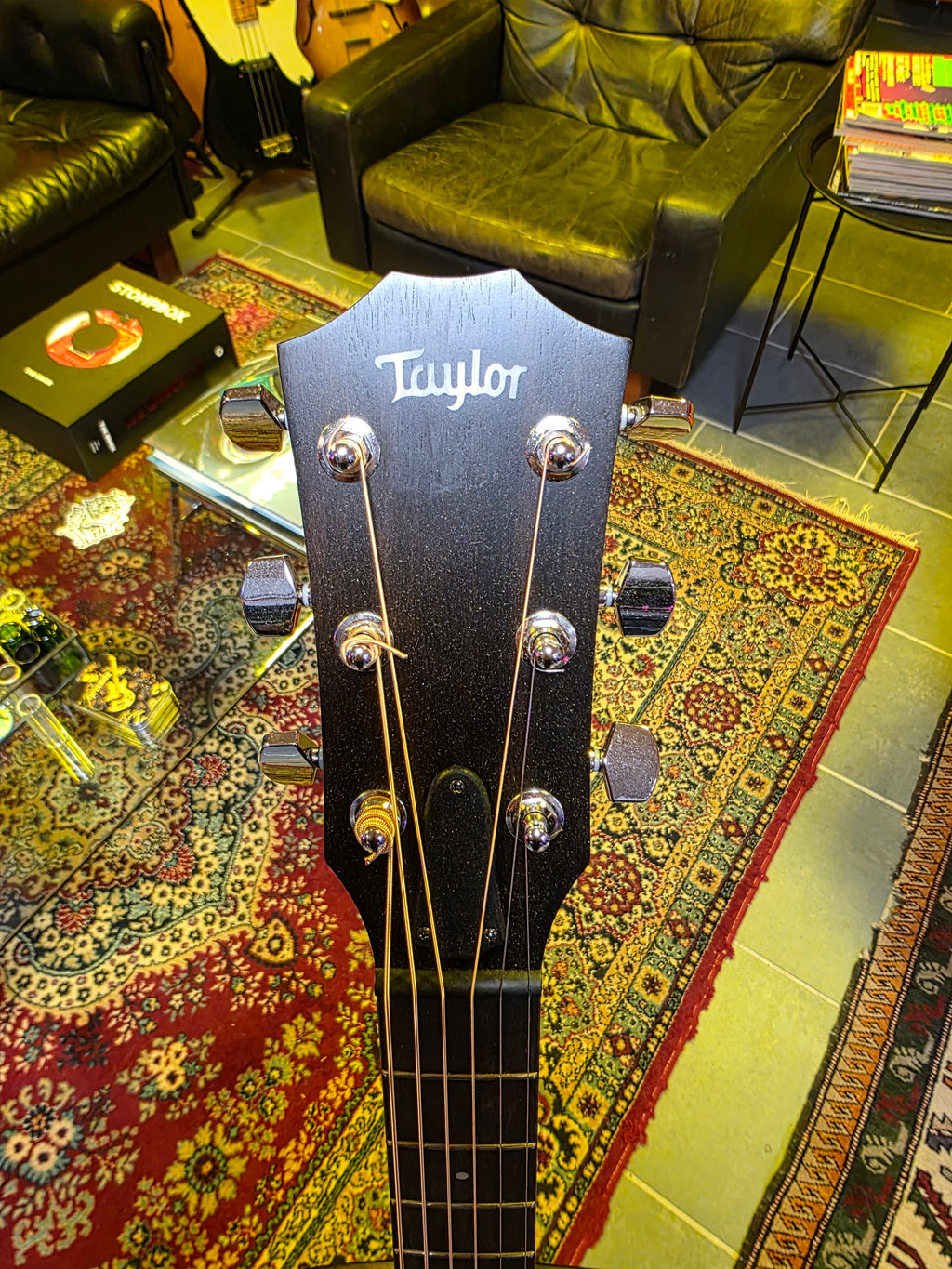 Taylor AD17e