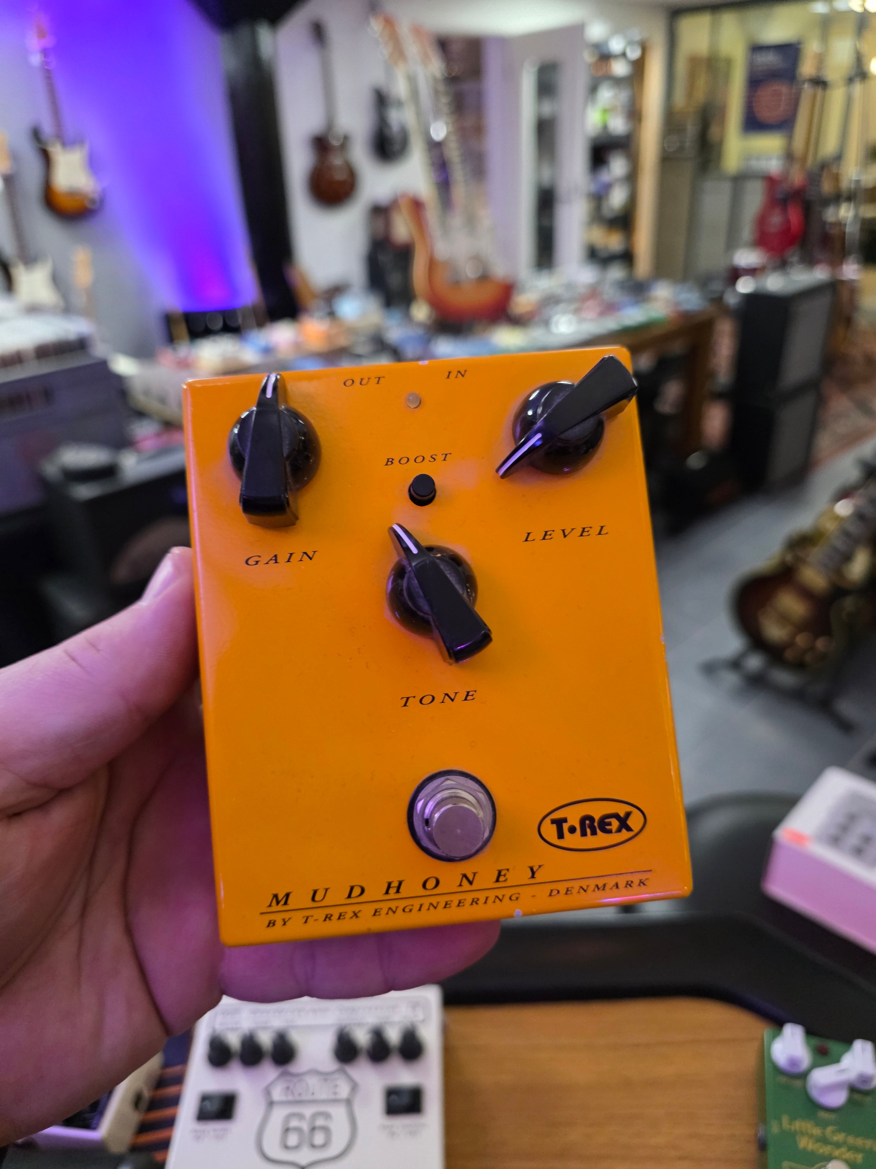 T-Rex Mudhoney
