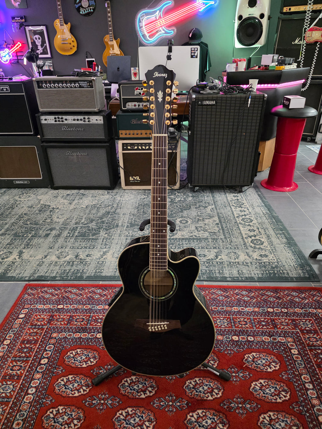 Ibanez AEL2012ETKS1202