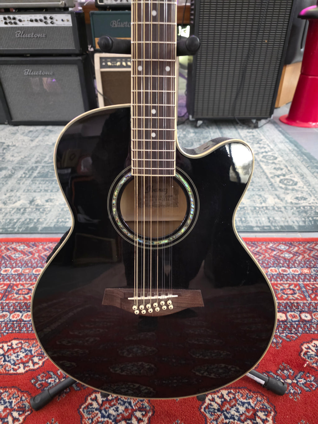 Ibanez AEL2012ETKS1202