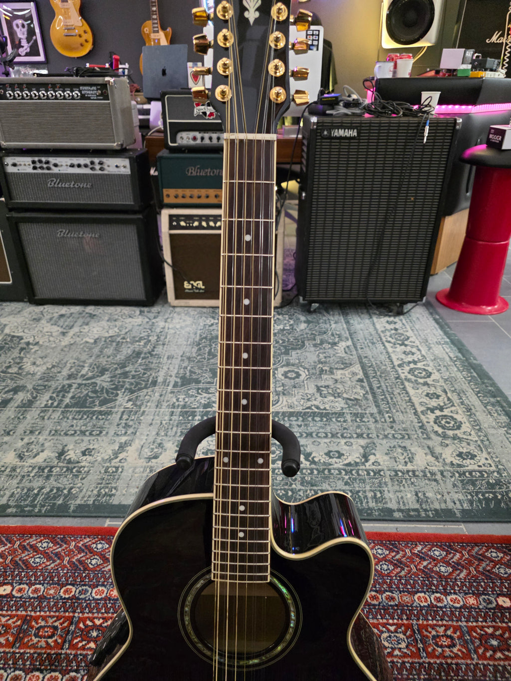 Ibanez AEL2012ETKS1202