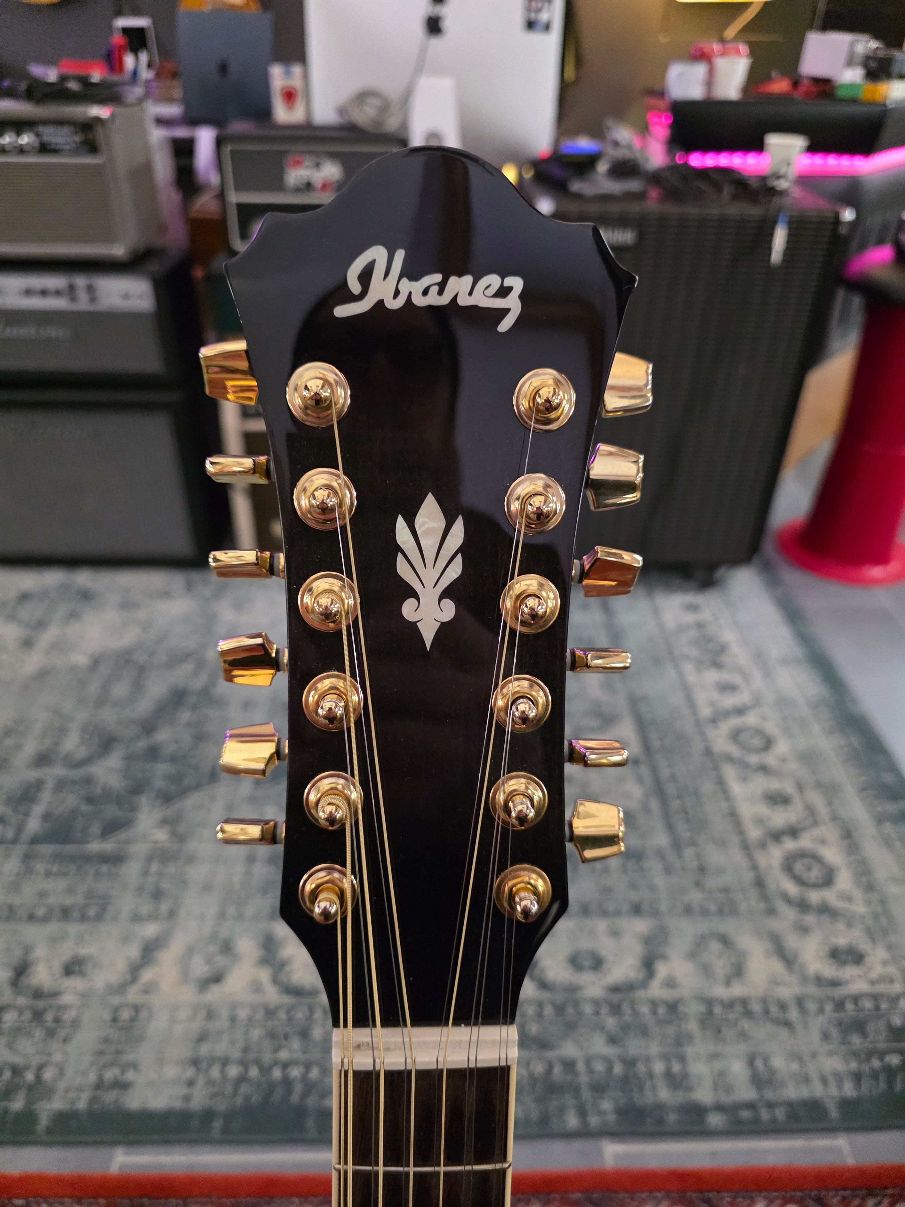 Ibanez AEL2012ETKS1202