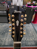 Ibanez AEL2012ETKS1202