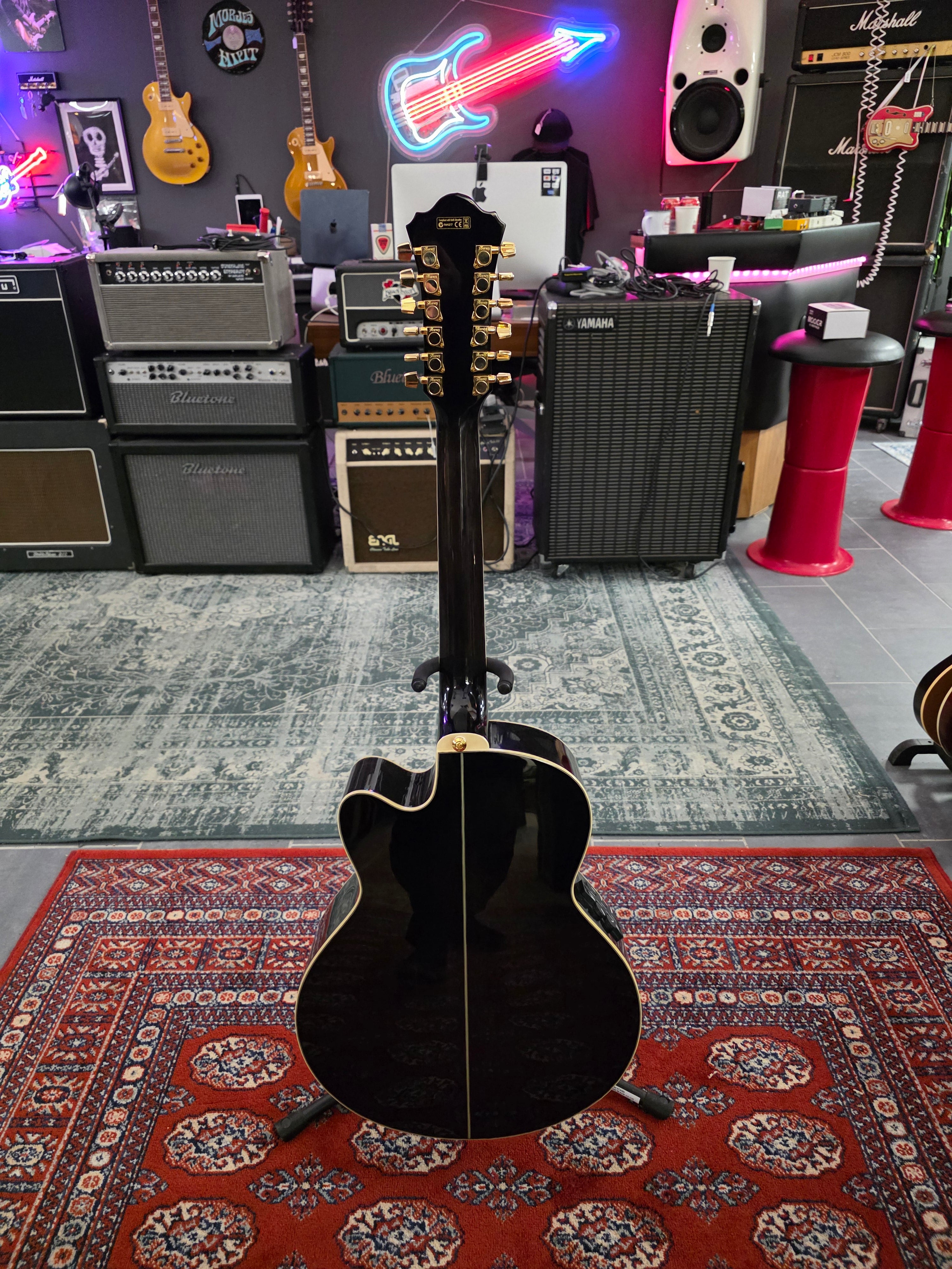 Ibanez AEL2012ETKS1202