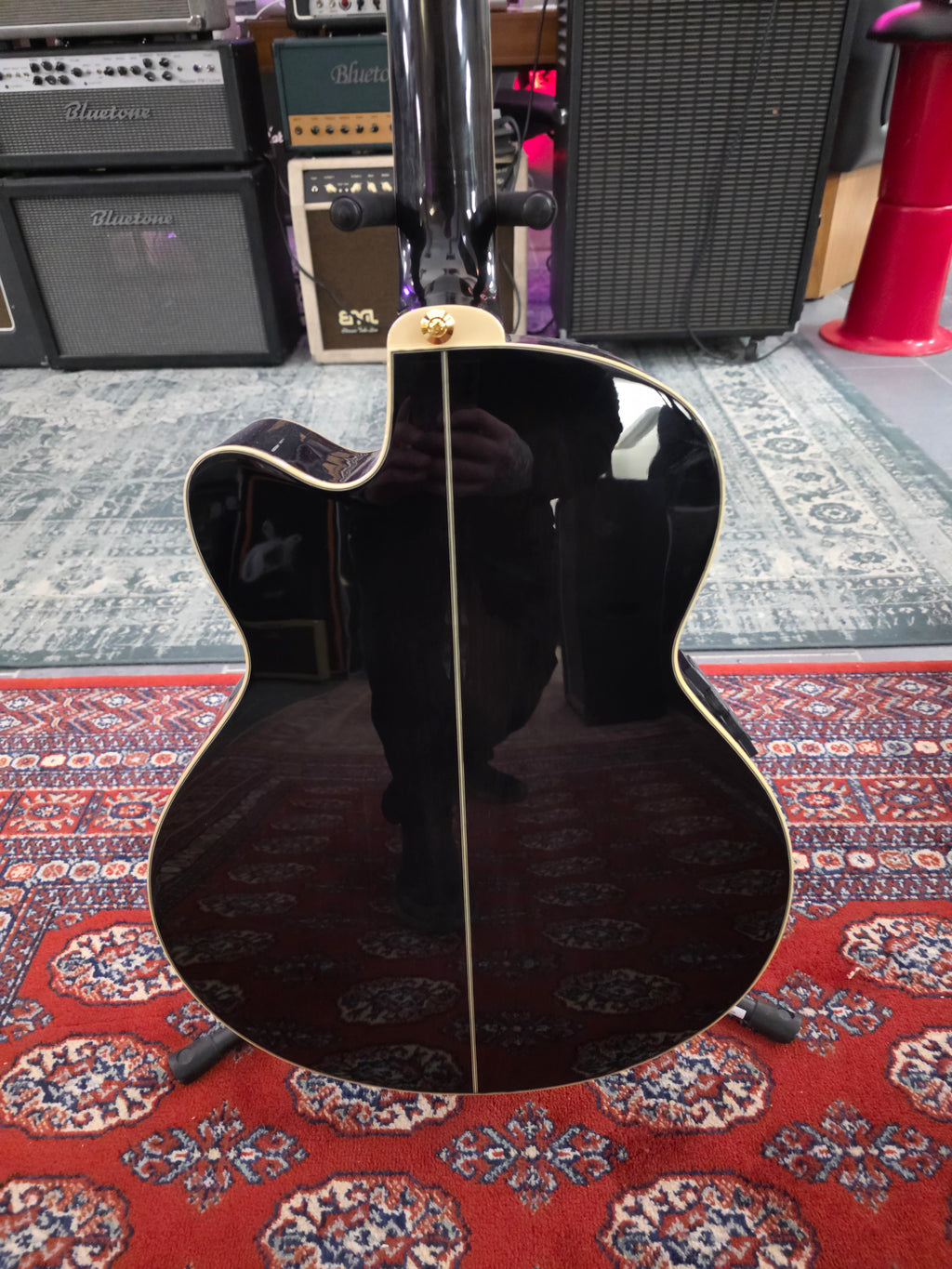 Ibanez AEL2012ETKS1202