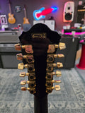 Ibanez AEL2012ETKS1202
