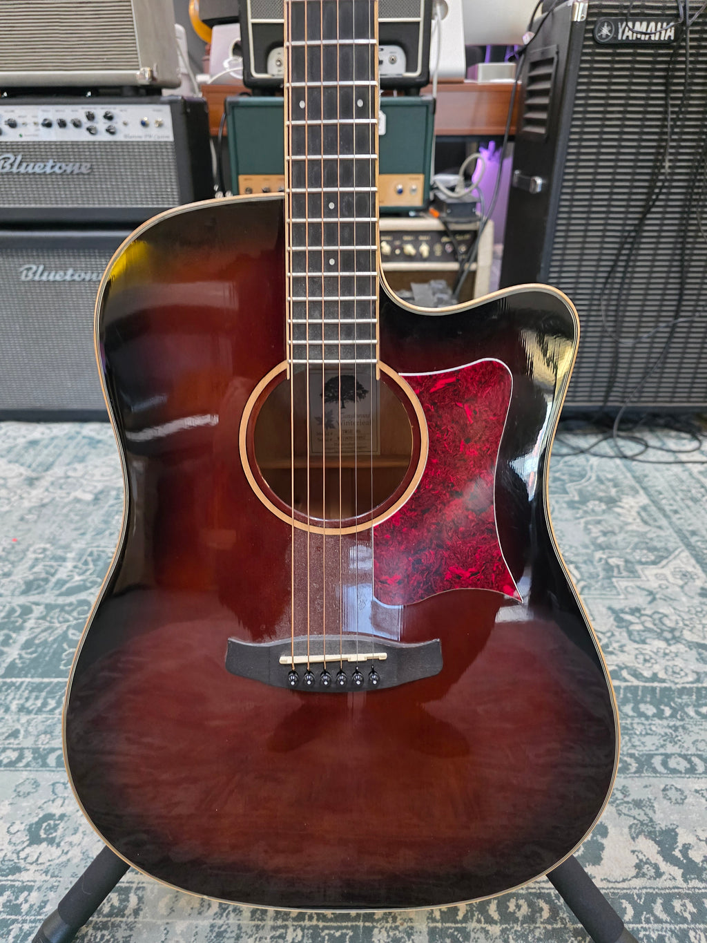 Tanglewood TW5E