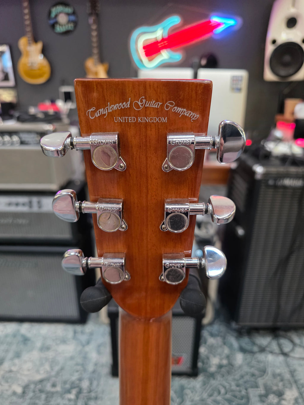 Tanglewood TW5E