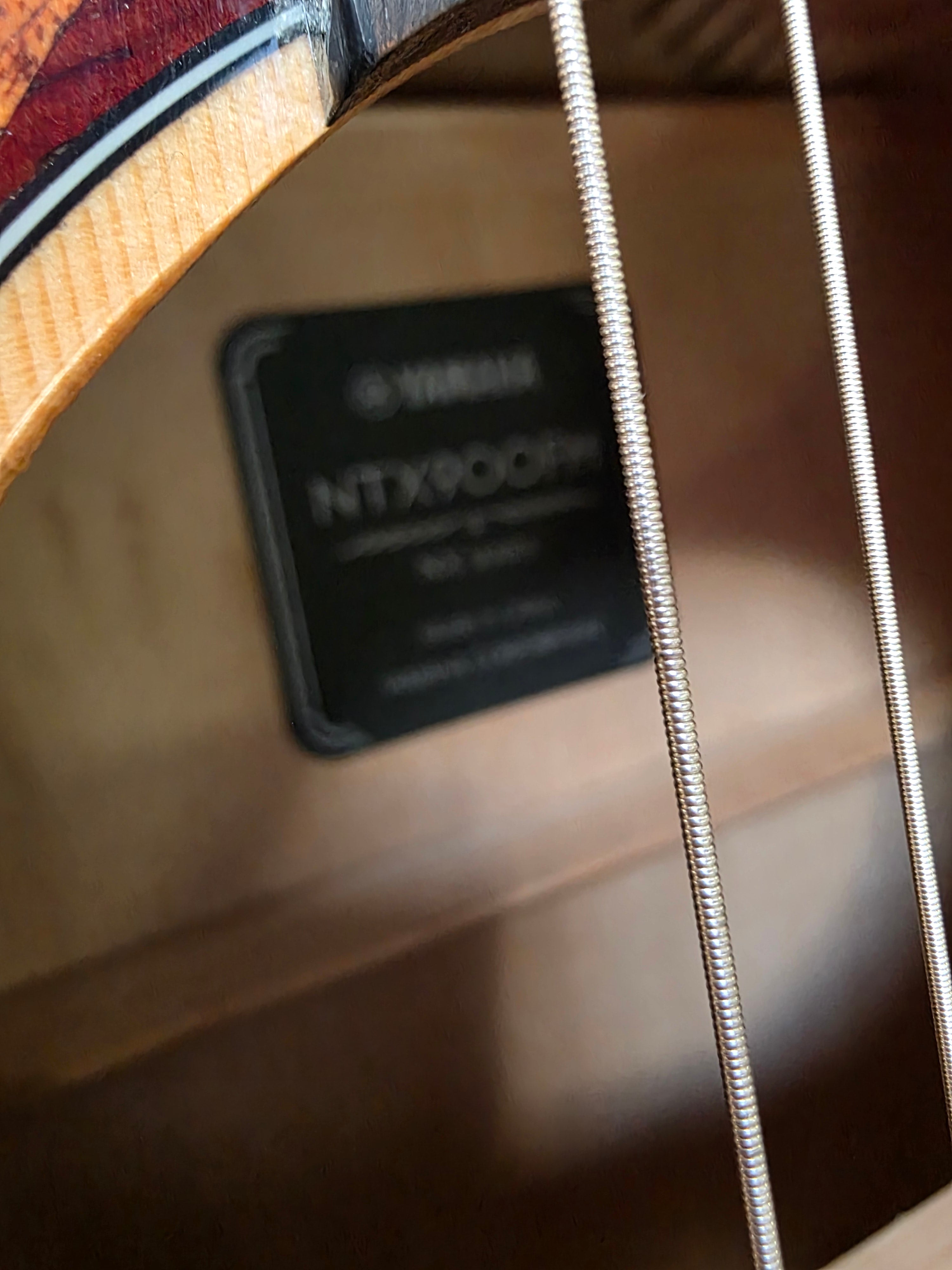 Yamaha NTX900FM