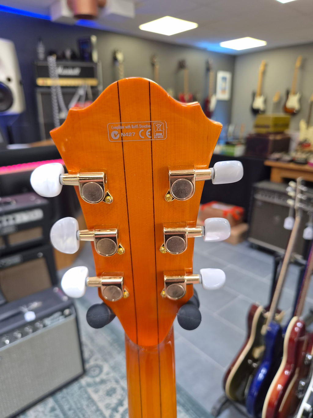 Ibanez AF125 Artcore Custom