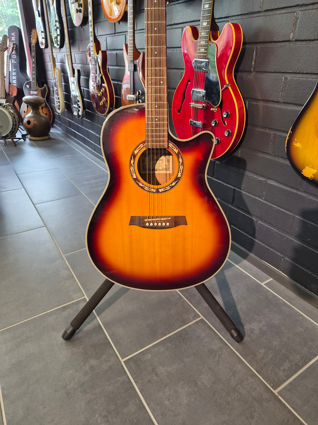 Ibanez AEF18-VS-OP-02