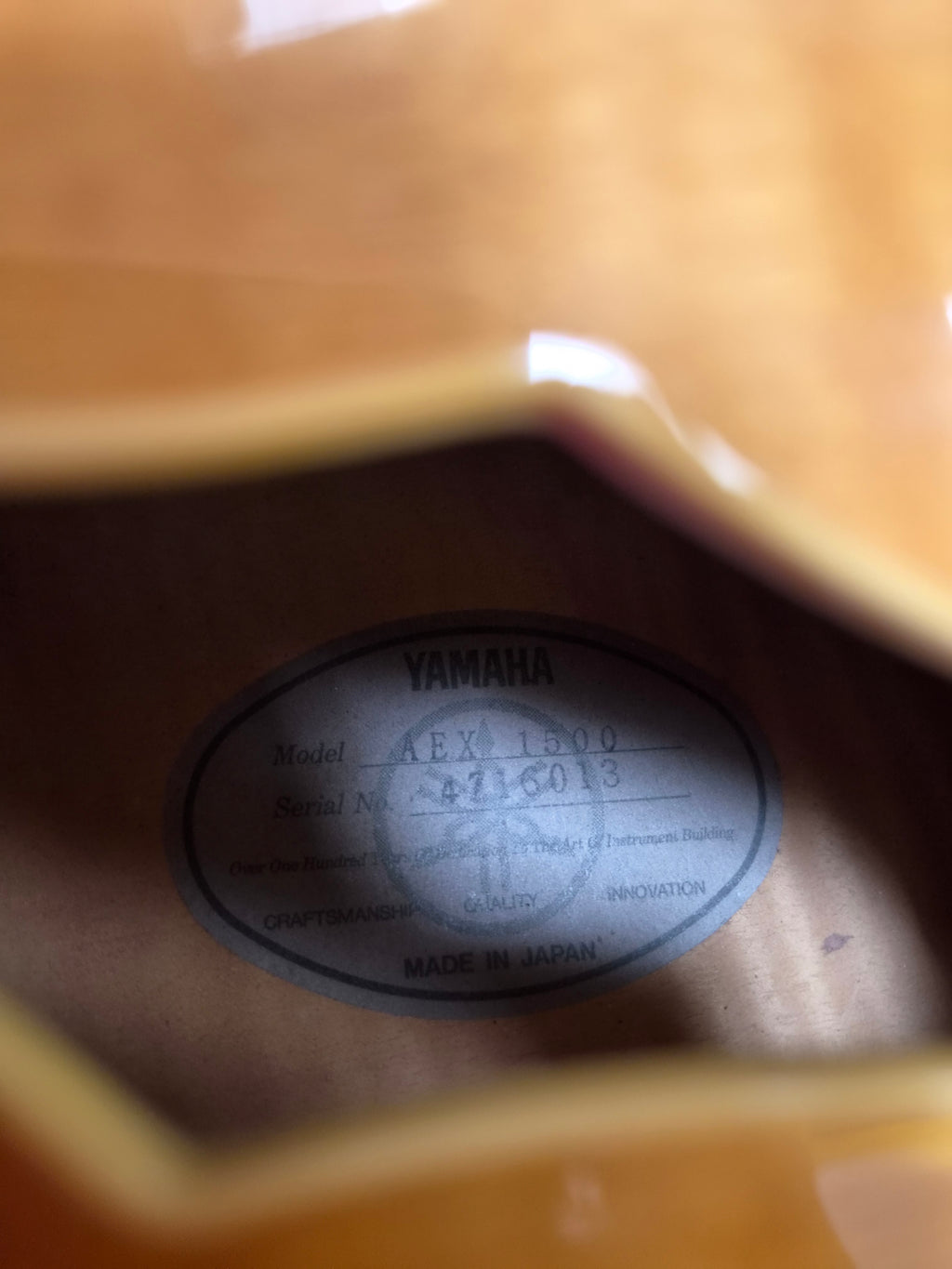 Yamaha AEX1500 Martin Taylor Archtop