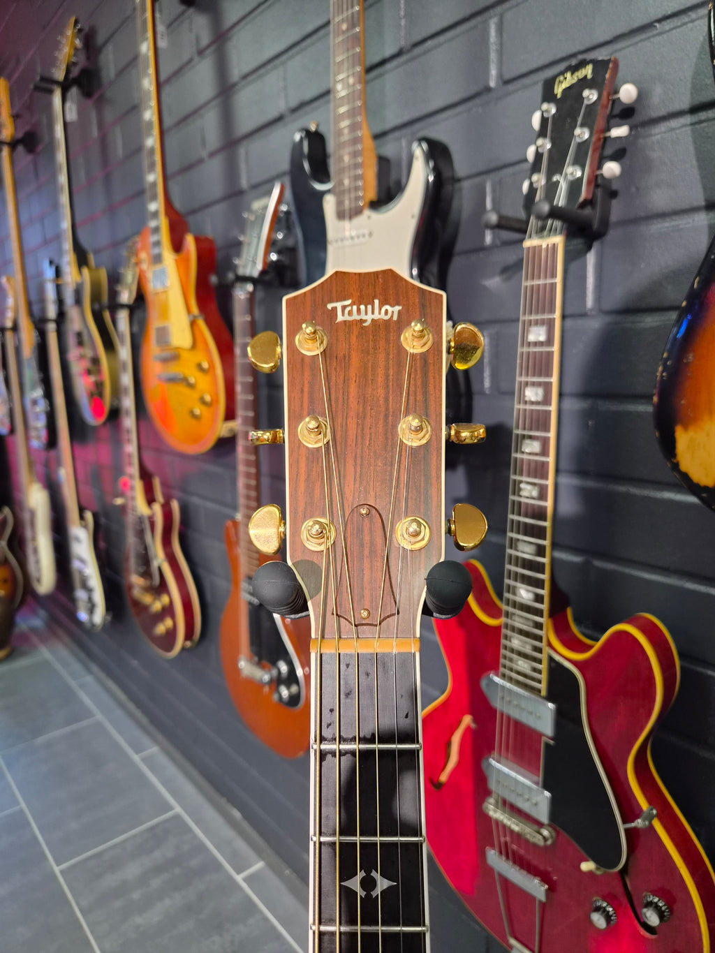 Taylor 810 "Ken Hensley"