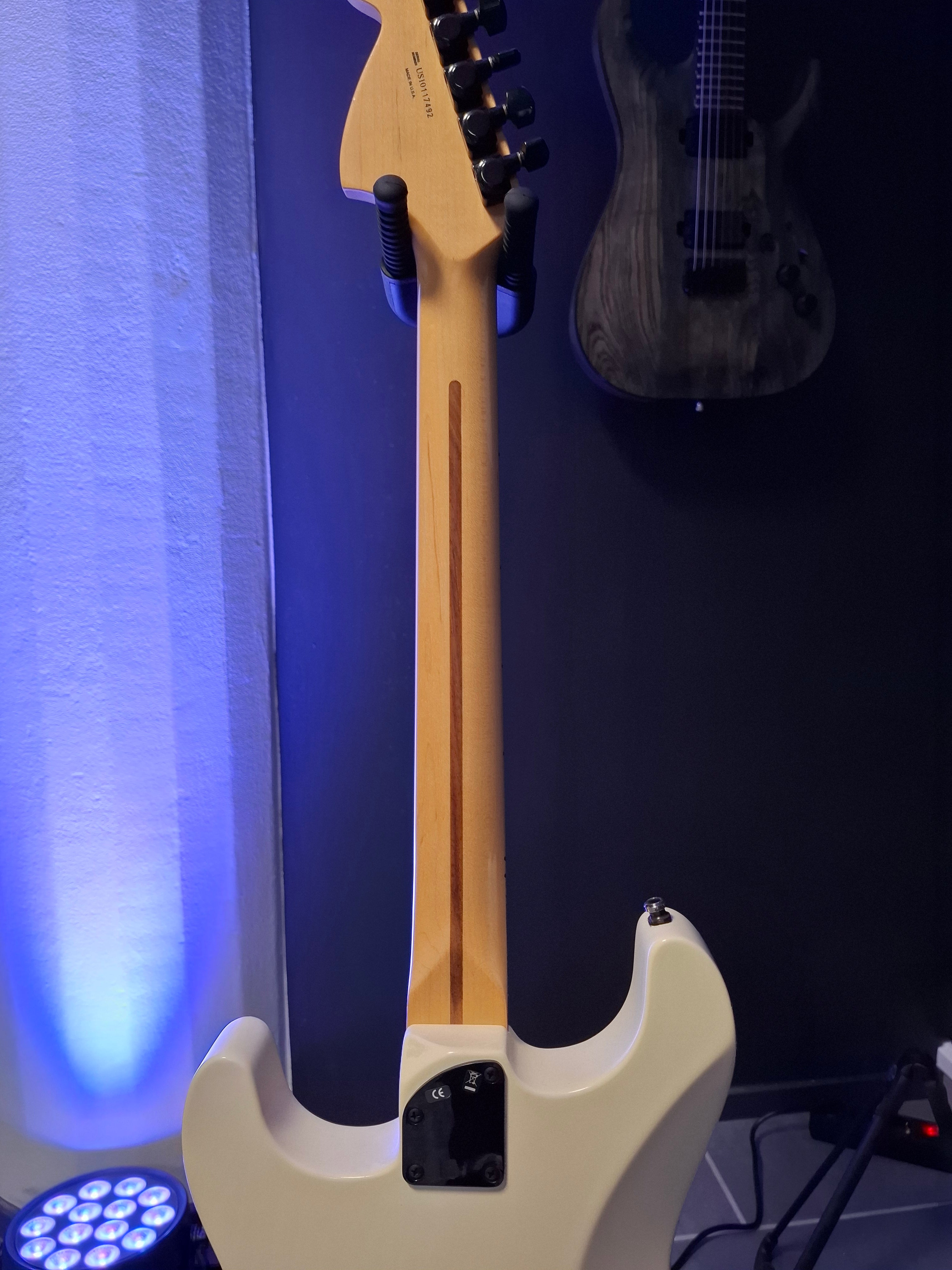 Fender Jim Root Artist Series Signature Stratocaster 2010