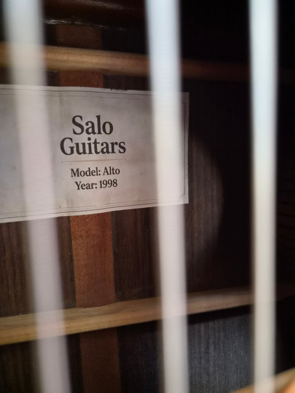 Salo Guitars Alto Guitar 11 String