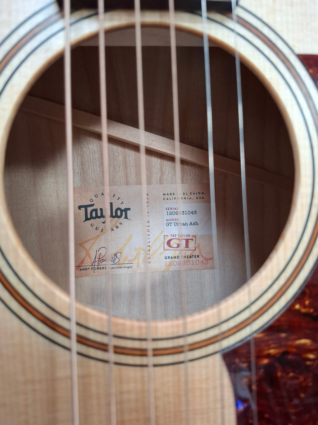 Taylor GT Urban Ash