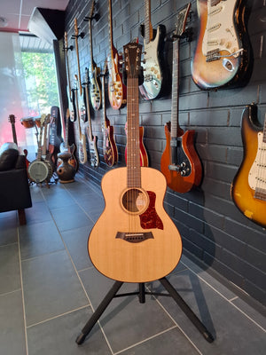 Taylor GT Urban Ash