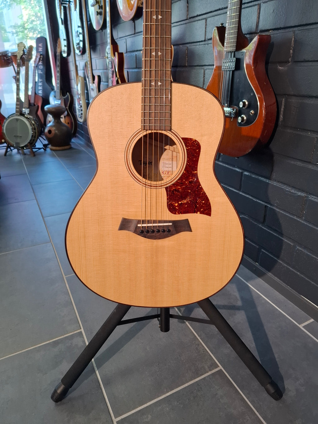 Taylor GT Urban Ash