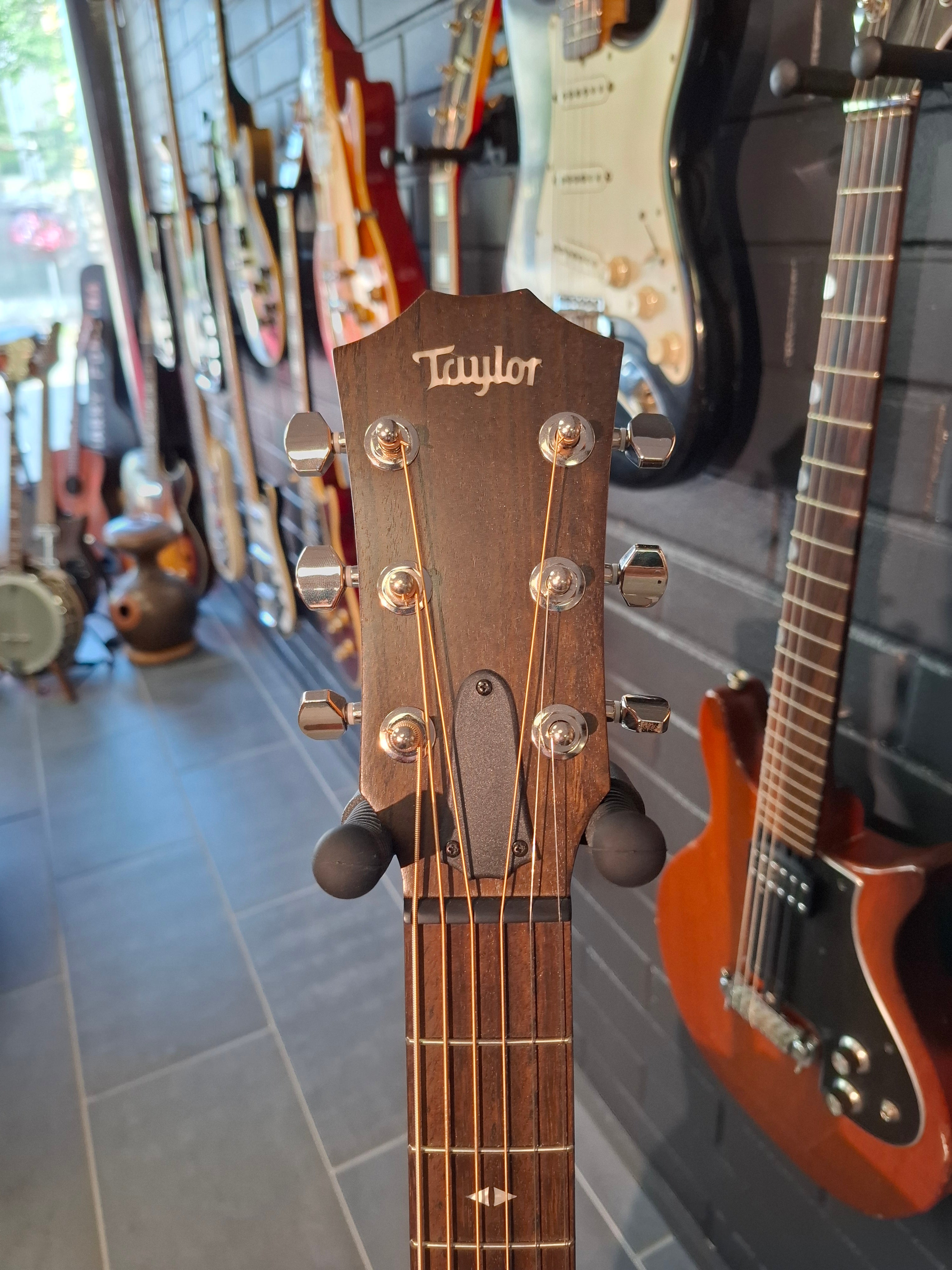 Taylor GT Urban Ash