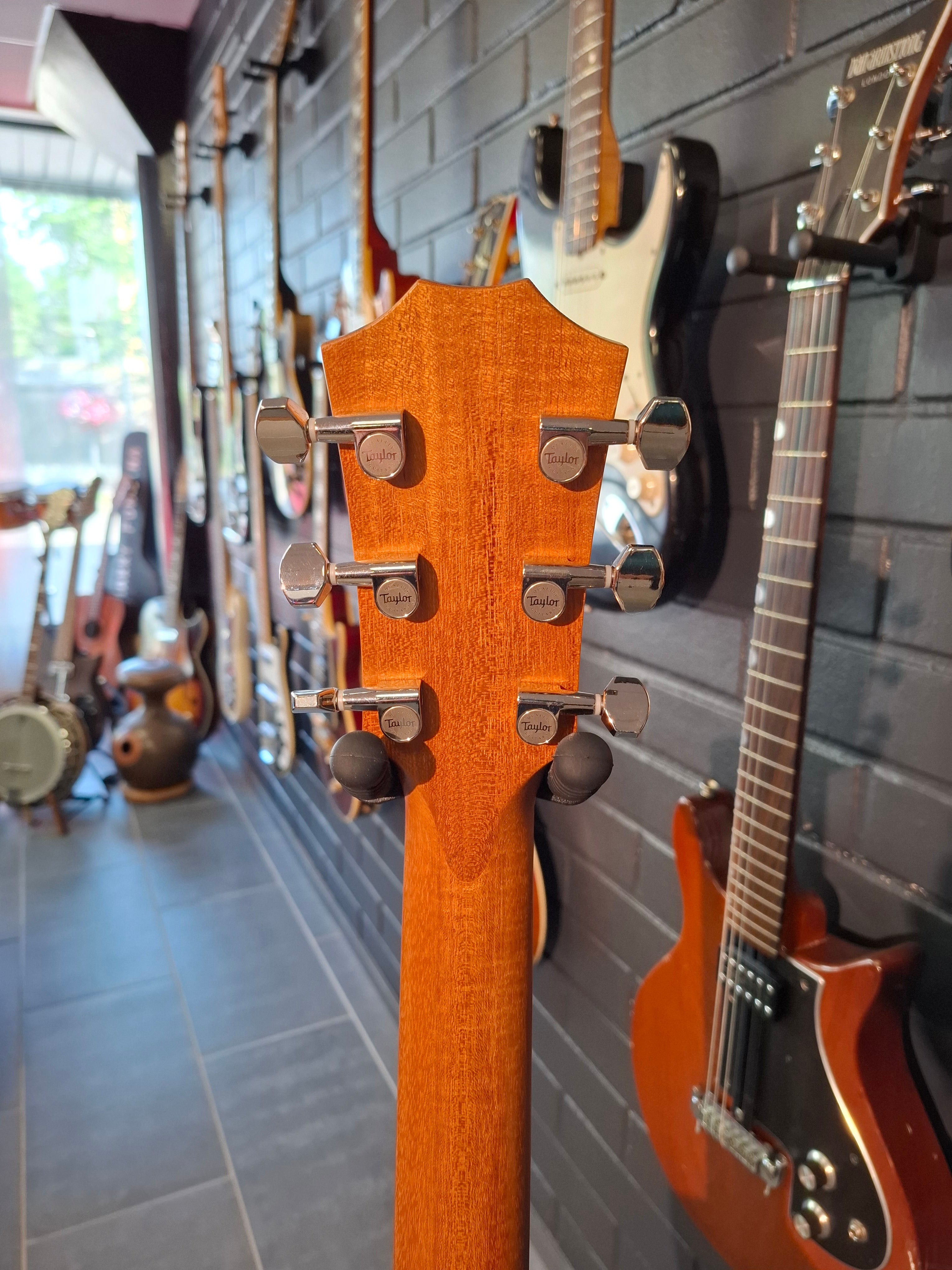 Taylor GT Urban Ash