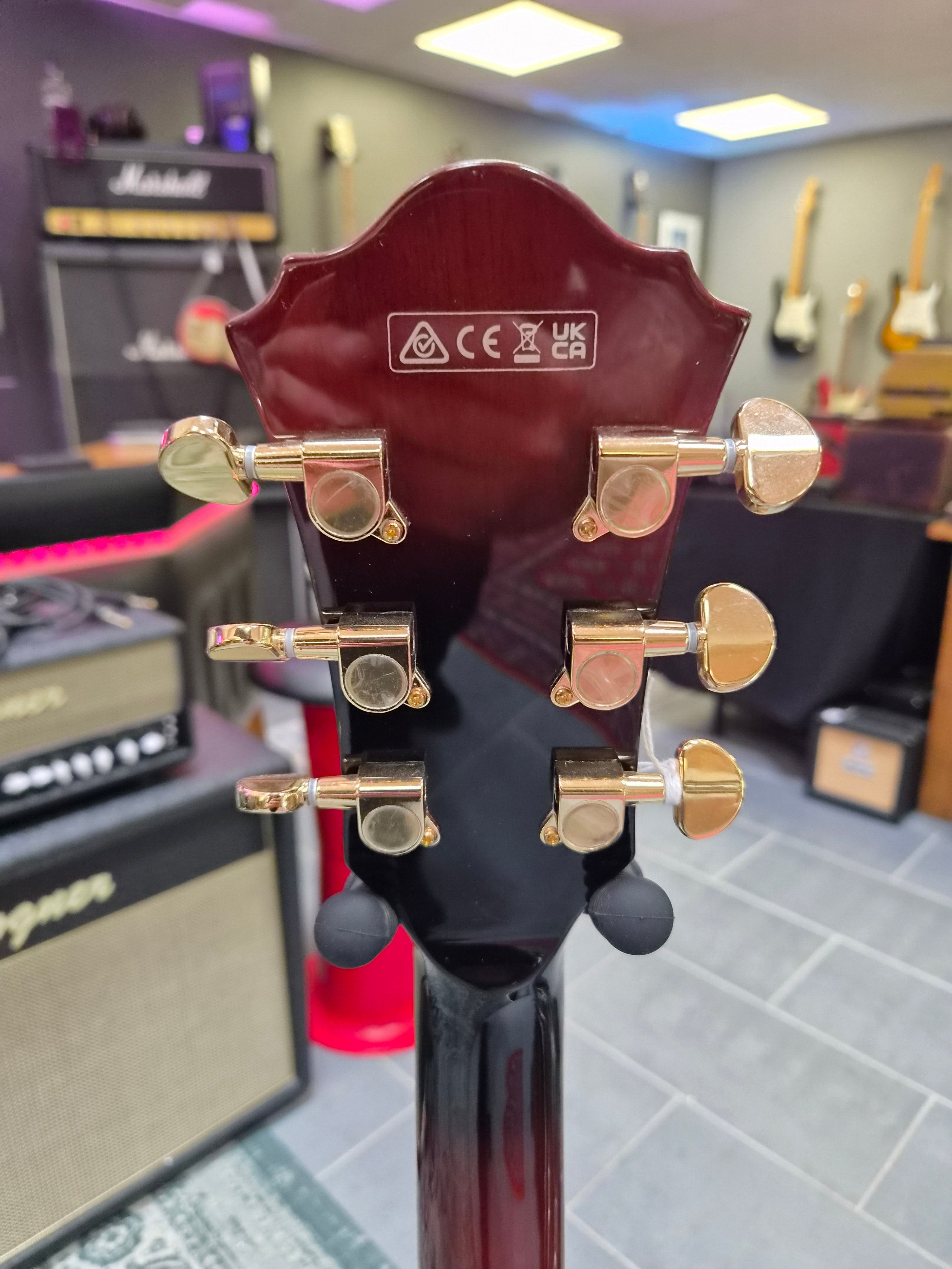 Ibanez AG95QA-DBS 5B-05