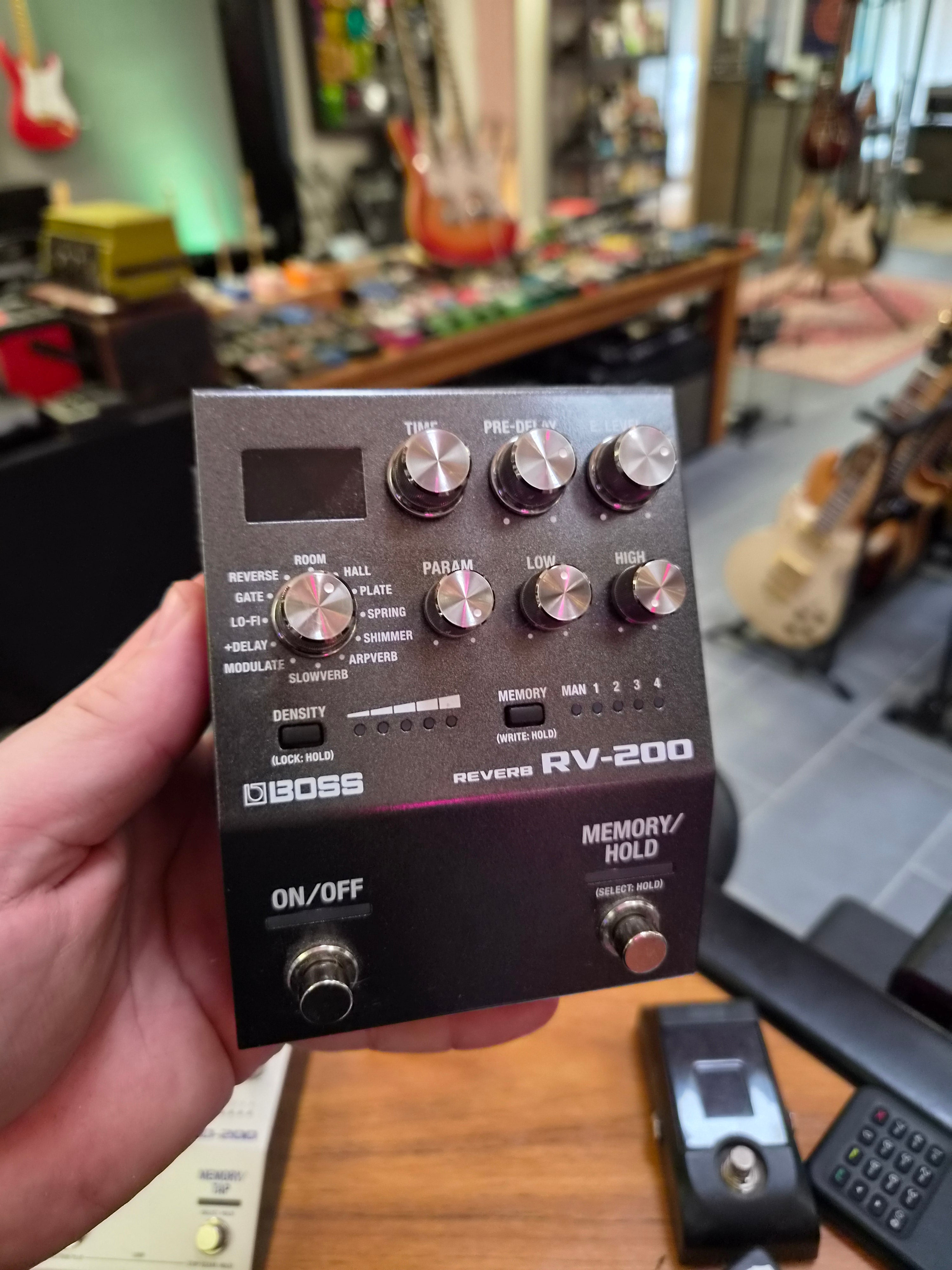 Boss RV-200