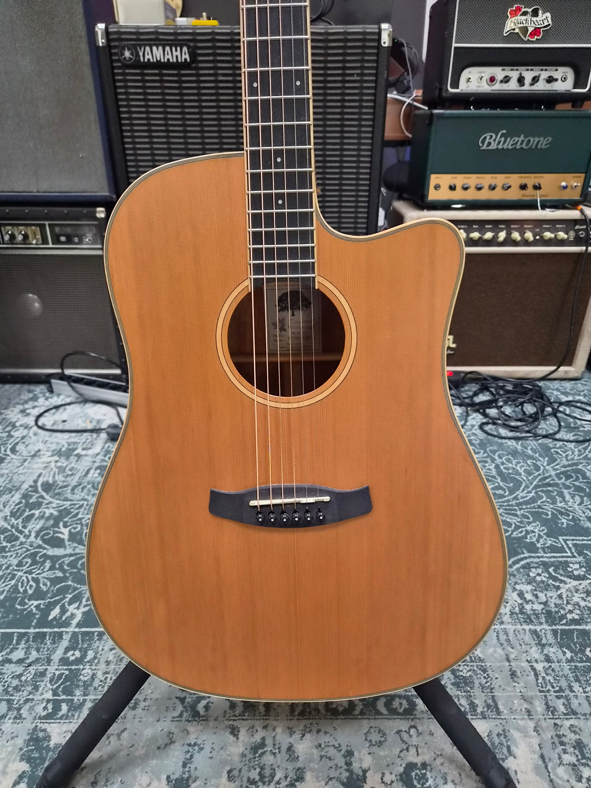 Tanglewood Winterleaf TW10