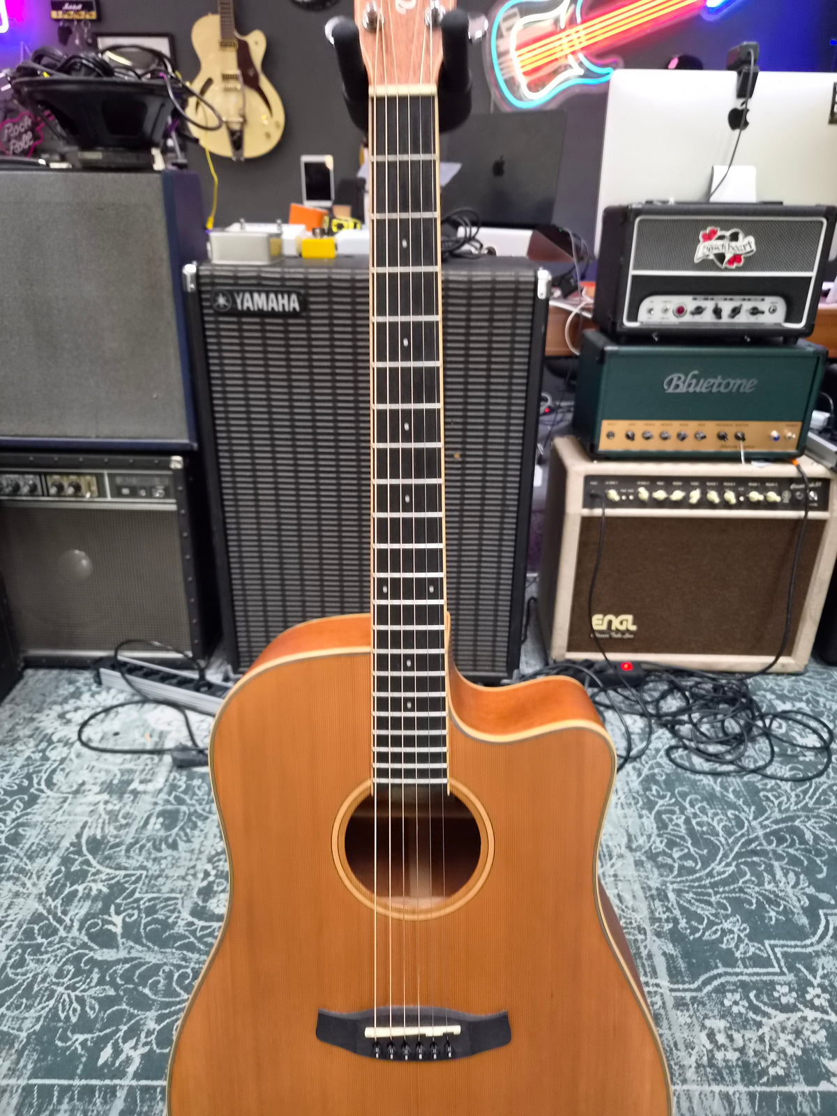 Tanglewood Winterleaf TW10