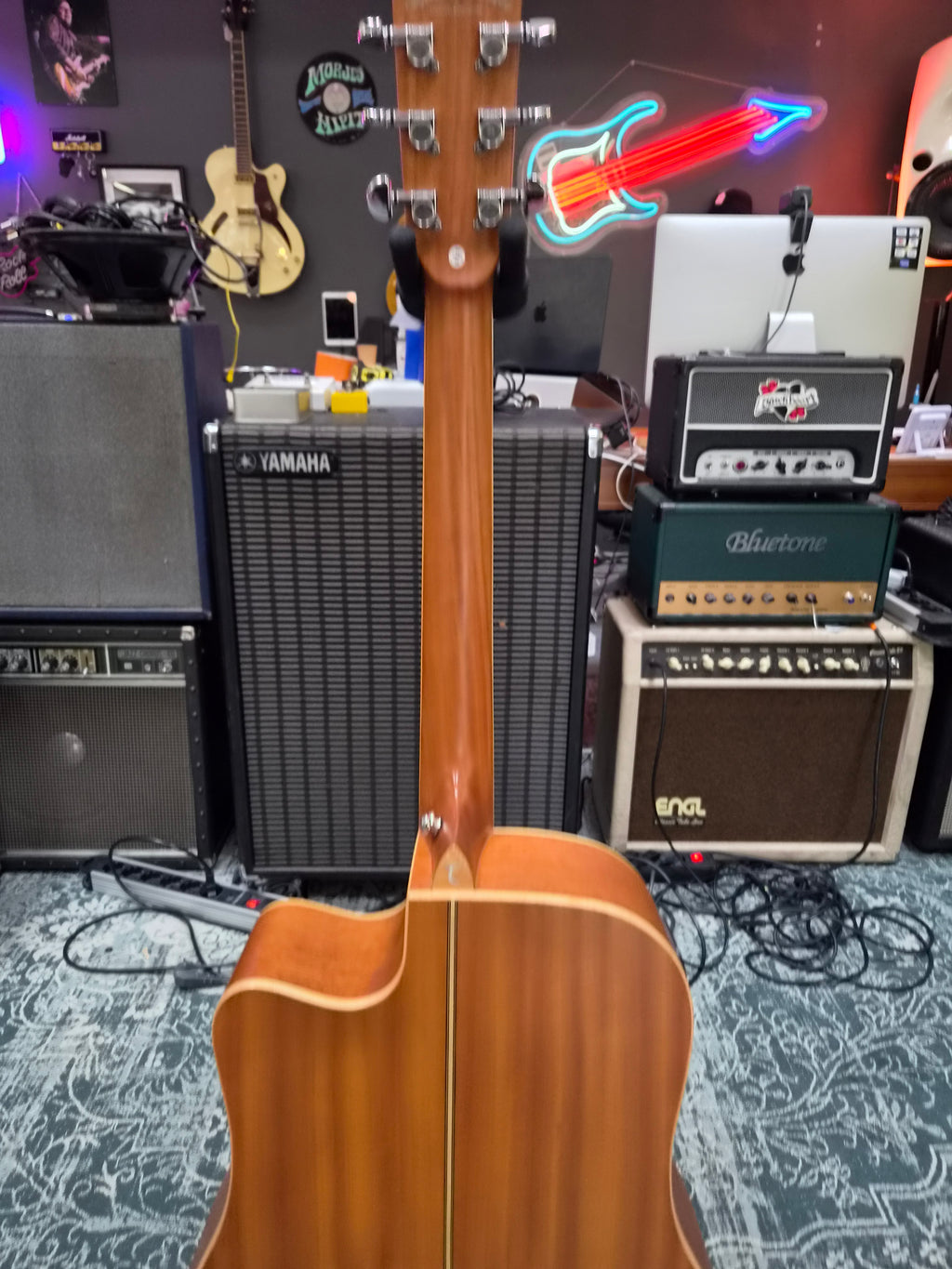 Tanglewood Winterleaf TW10