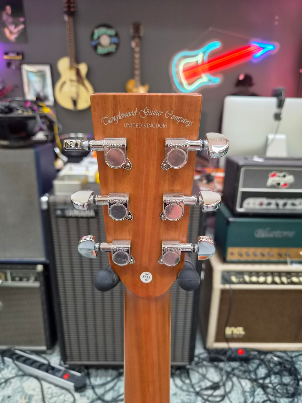 Tanglewood Winterleaf TW10