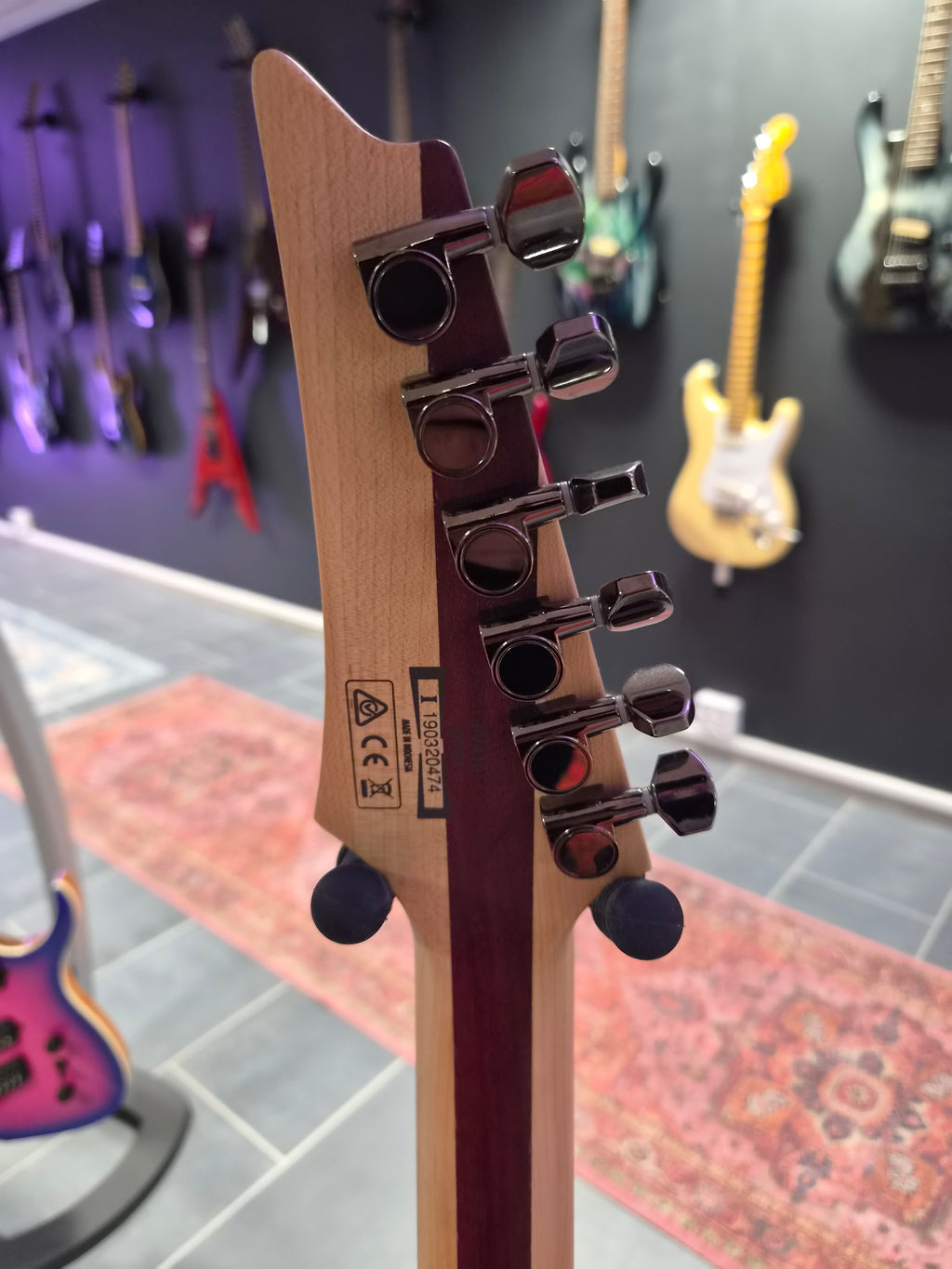 Ibanez JIVA 10-DSB
