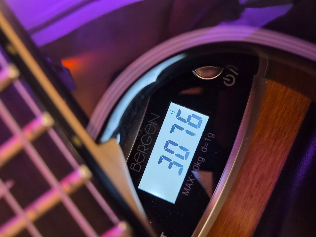 Ibanez JIVA 10-DSB